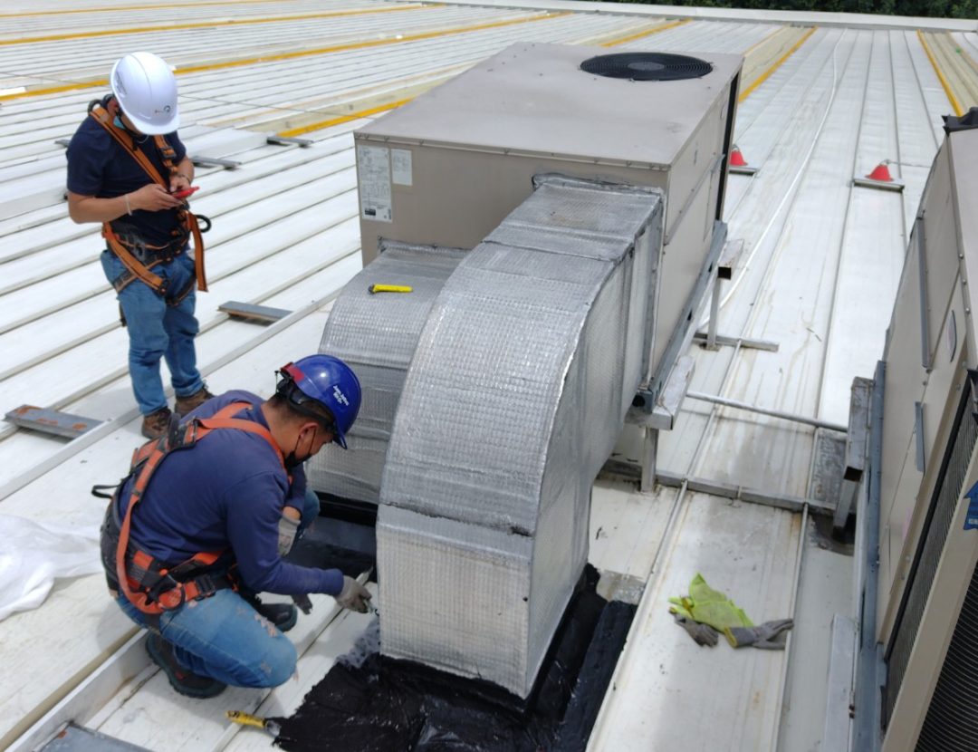 IMG_20220317_133822851